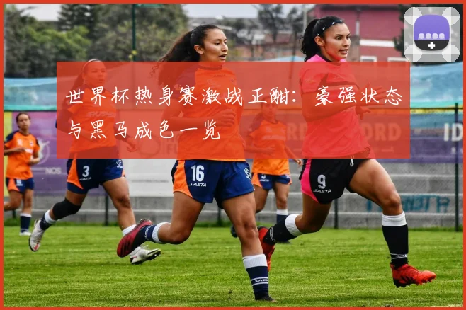 世界杯热身赛激战正酣:豪强状态与黑马成色一览