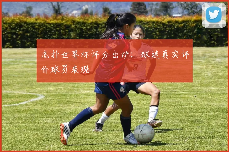 虎扑世界杯评分出炉：球迷真实评价球员表现
