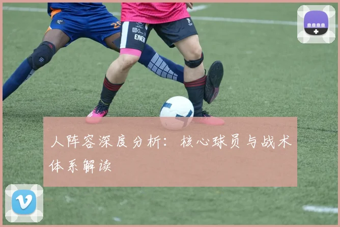 人阵容深度分析:核心球员与战术体系解读
